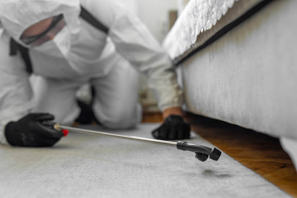 Professional Cockroach Control technician working in Westfield Center, OH